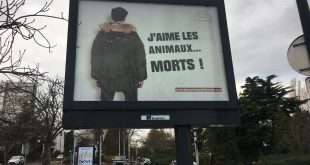 Campagne d’affichage pour notre nouvelle campagne choc de la Fondation – Galerie 02