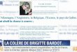 article-wp-fourrure-BB-macron-bfm